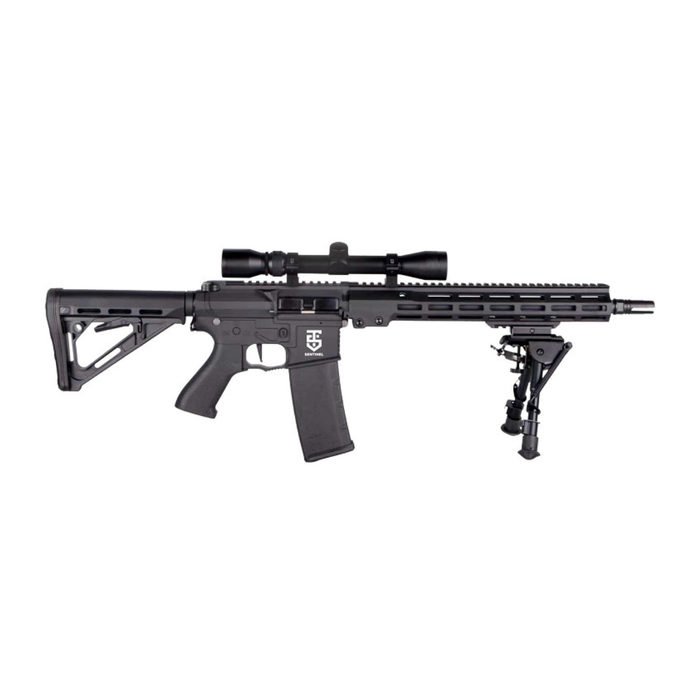 Rossi Sentinel 12" Upsilon - Scope + Bipod + 2 Magazines