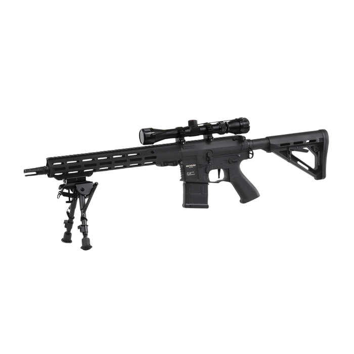 Rossi Sentinel 12" Upsilon - Bundle