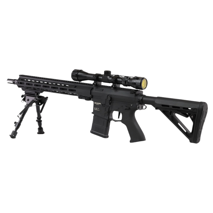 Rossi Sentinel 12" Upsilon - Bundle
