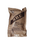 Genuine U.S. Military Surplus MREs (Meal Ready-to-Eat)