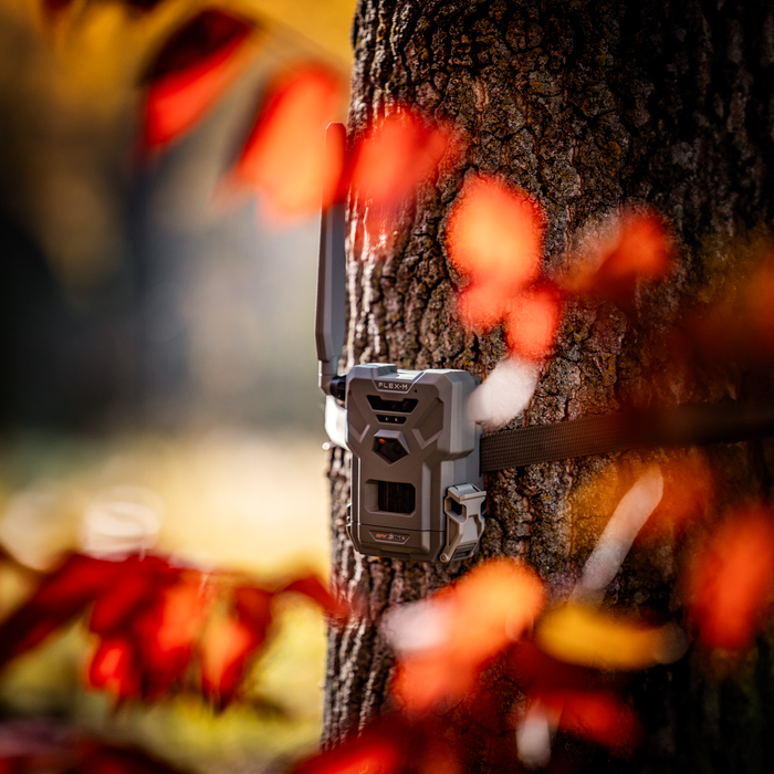 Spypoint FLEX-M Trail Camera
