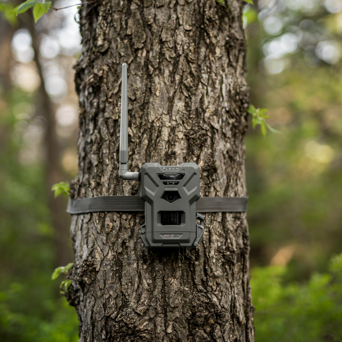 Spypoint FLEX-M Trail Camera