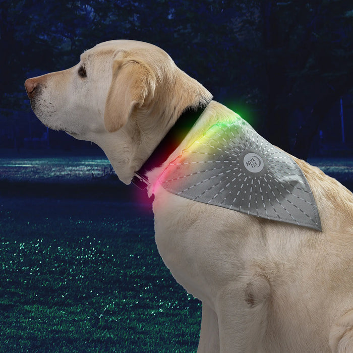 Nite Ize Dog LED Bandana Light - Grey