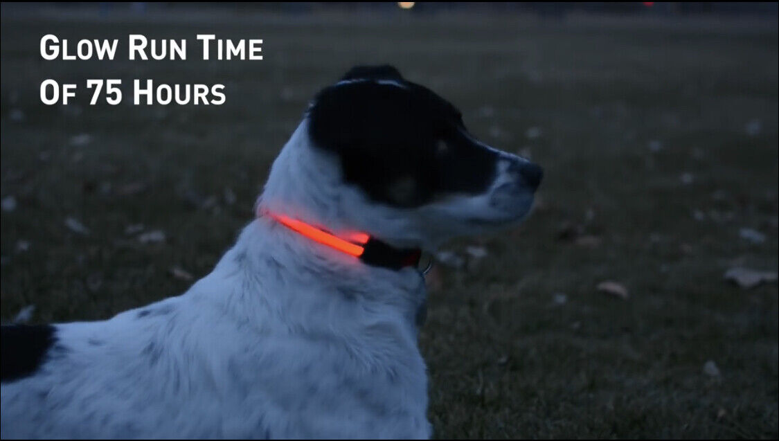 Nite Ize Red LED Dog Collar - Medium